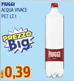 Big Food Acqua vivace Fiuggi offerta