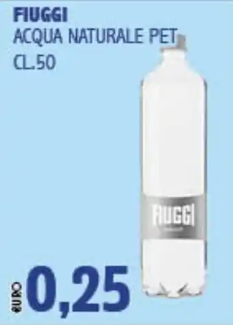Big Food Acqua naturale Fiuggi offerta