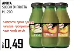 Big Food Amrita succhi di frutta offerta