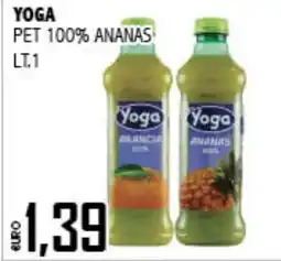 Big Food Yoga ananas offerta