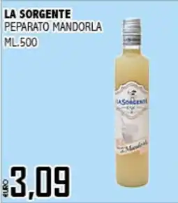 Big Food La Sorgente Peparato Mandorla offerta