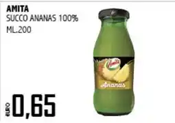 Big Food Amita succo ananas 100% offerta