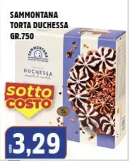 Big Food Torta Duchessa Sammontana offerta