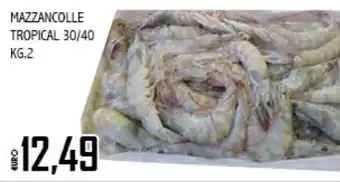 Big Food Mazzancolle tropical offerta