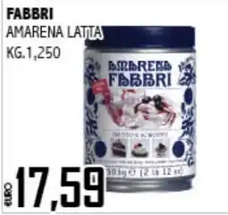Big Food Amarena Fabbri offerta