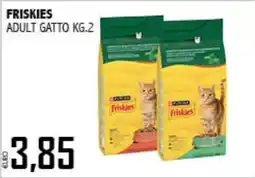 Big Food Friskies adult gatto offerta