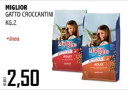 Big Food Miglior gatto croccantini offerta