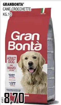 Big Food Gran Bontà cane crocchette adult dog con manzo offerta