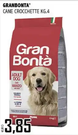 Big Food Gran Bontà cane crocchette offerta