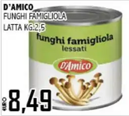 Big Food Funghi famigliola lessati D'Amico offerta
