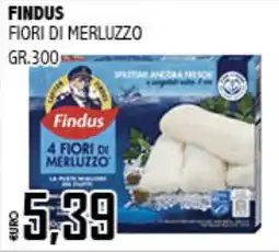 Big Food Findus Fiori di merluzzo offerta