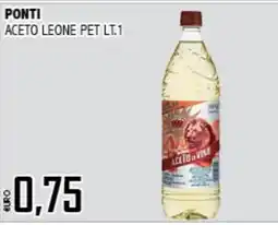 Big Food Aceto Leone offerta