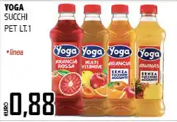 Big Food Yoga succhi offerta