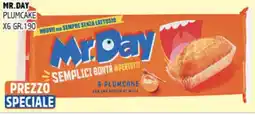 Big Food Mr. Day Plumcake offerta