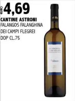 Big Food Cantine Astroni Falanghina dei Campi Flegrei offerta