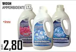 Big Food Wosh Ammorbidente offerta