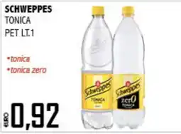 Big Food Schweppes tonica offerta