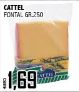 Big Food Fontal Cattel offerta