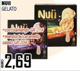 Big Food Nuii gelato offerta