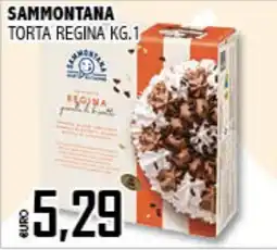 Big Food Torta Regina Sammontana offerta