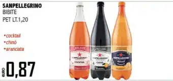 Big Food Sanpellegrino Bibite offerta