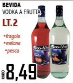 Big Food Vodka a frutta Wochan offerta