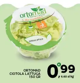 Extra Supermercati Ortomad ciotola lattuga offerta