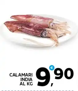 Extra Supermercati Calamari India offerta