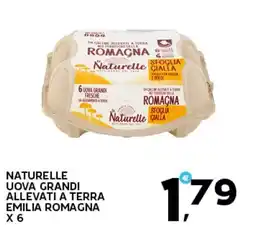 Extra Supermercati Naturelle uova grandi offerta