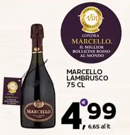 Extra Supermercati Marcello Lambrusco offerta