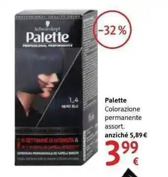dm drogerie markt Palette Colorazione permanente assort. offerta