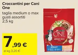 Carrefour Crocchettini per Cani One offerta