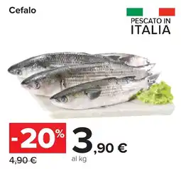 Carrefour Cefalo offerta