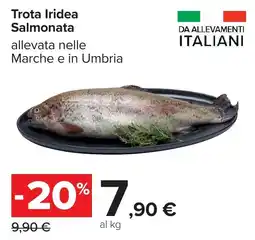 Carrefour Trota Iridea Salmonata offerta