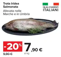 Carrefour Market Trota Iridea Salmonata offerta
