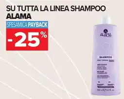 Carrefour Shampoo No Yellow Alama offerta