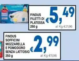 DEM Findus filetti di platessa offerta