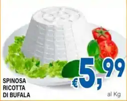 DEM Spinosa ricotta di bufala offerta