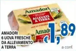 DEM Uova fresche da allevamento a terra Amadori offerta