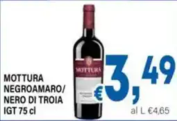 DEM Mottura Negroamaro/Nero di Troia IGT offerta