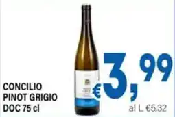 DEM Concilio Pinot Grigio DOC offerta