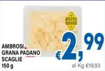 DEM Ambrosi Grana Padano Scaglie offerta