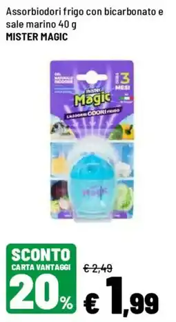 Iper La Grande Assorbiodori frigo Mister Magic offerta