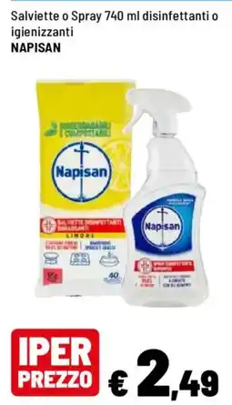 Iper La Grande Salviette o Spray 740 ml disinfettanti o igienizzanti Napisan offerta