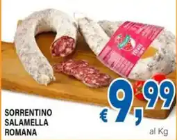 DEM Sorrentino Salamella Romana offerta