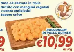 DEM Bocconcini di pollo rurale offerta