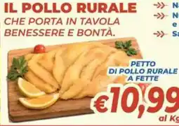 DEM Pollo rurale offerta
