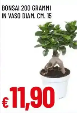 Famila Bonsai offerta