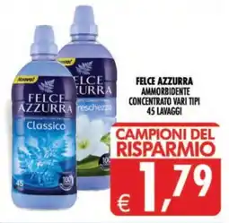 Deco Supermercati Felce Azzurra ammorbidente concentrato offerta
