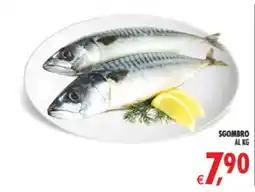 Deco Supermercati Sgombro offerta